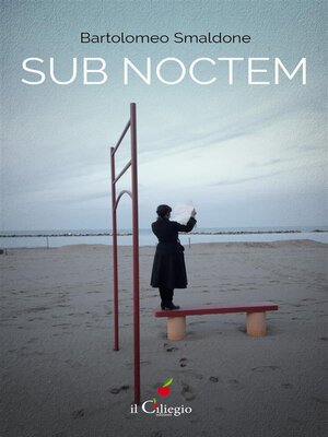 cover image of Sub noctem